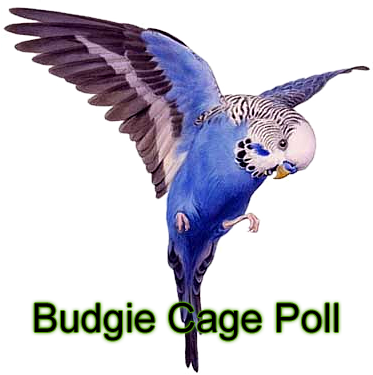 The Budgie Cage Poll
